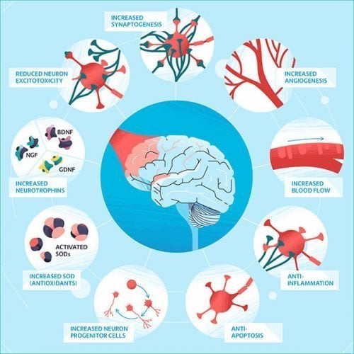 Can Light Therapy Help the Brain? Vielight Inc