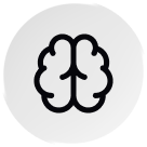 Covers the whole brain